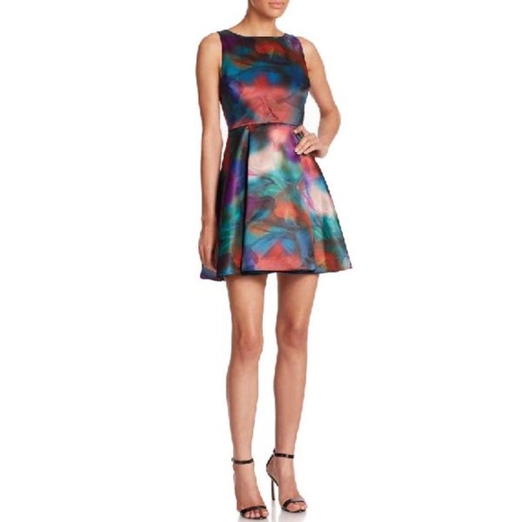 Alice + Olivia Belia A-Line Watercolor Dress Sz 6